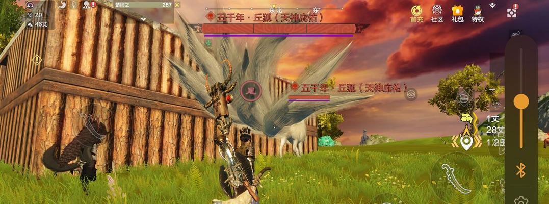 《妄想山海》角色外观定制（打造独一无二的游戏形象）