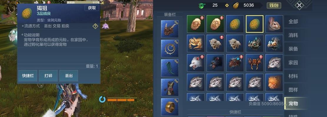 《寻找极品孟极，妄想山海攻略大揭秘》（游戏中的终极目标）