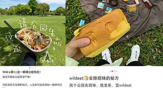 熊掌厨谁还不是个厨师呢？如何在家轻松制作美味佳肴？