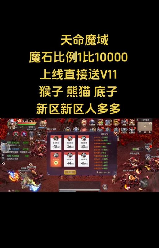 魔域中刷了多次未出猫该如何解决？有没有快速获取的方法？